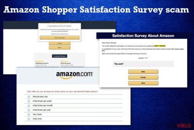 Estafa Amazon Shopper Satisfaction Survey