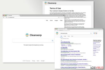 La imagen de Cleanserp.net