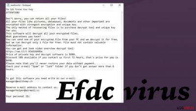 Virus Efdc