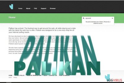 Palikan.com redirect