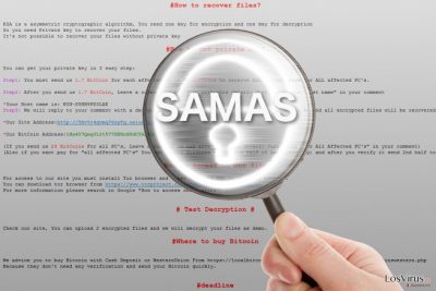El ransomware Samas bajo lupa