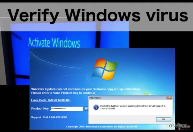 An illustration of the Verify Windows virus