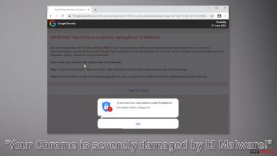Your Chrome is severely damaged by 13 Malware!